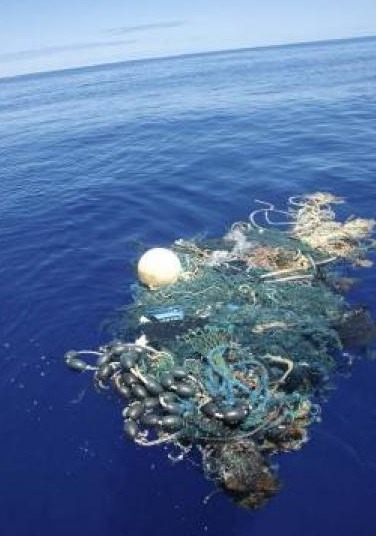 Drowning In Plastic The Great Pacific Garbage Patch